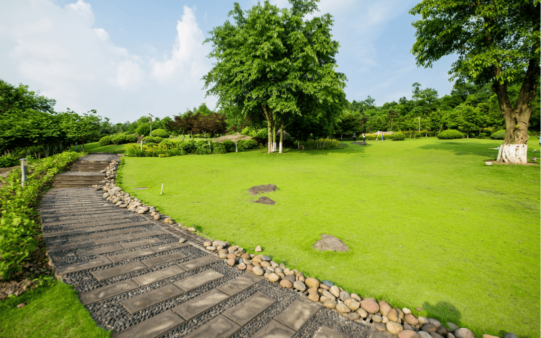 Enhancing Your Outdoor Space: