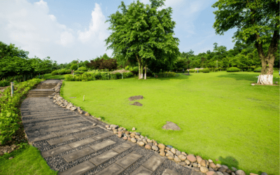 Enhancing Your Outdoor Space: